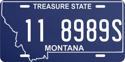 MT license plate 118989S