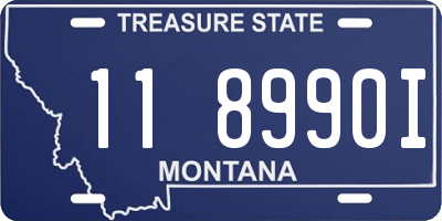 MT license plate 118990I