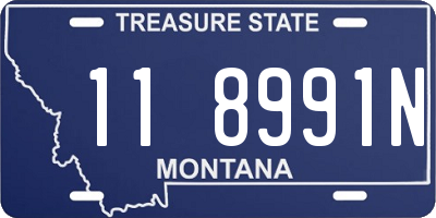 MT license plate 118991N