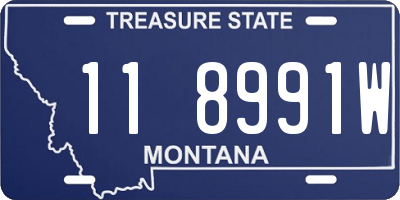 MT license plate 118991W