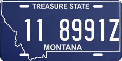 MT license plate 118991Z