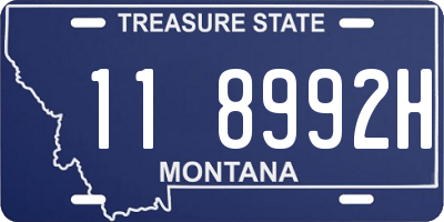 MT license plate 118992H