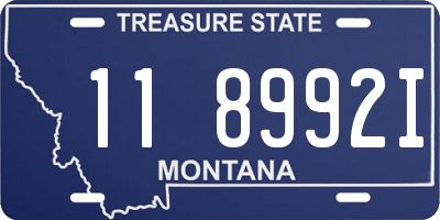 MT license plate 118992I