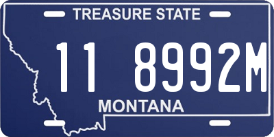 MT license plate 118992M