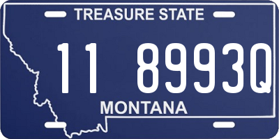 MT license plate 118993Q