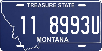 MT license plate 118993U