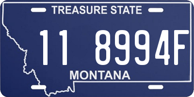 MT license plate 118994F