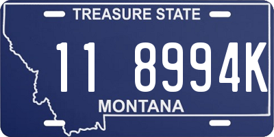 MT license plate 118994K