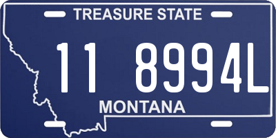 MT license plate 118994L