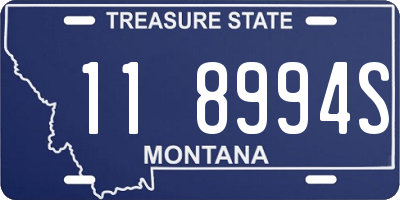 MT license plate 118994S