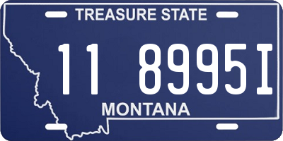 MT license plate 118995I