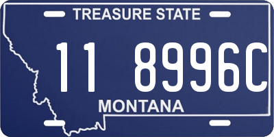 MT license plate 118996C