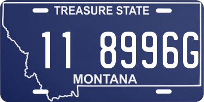 MT license plate 118996G