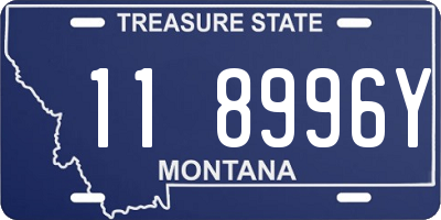 MT license plate 118996Y