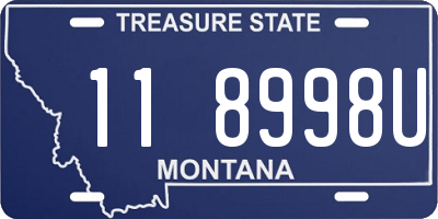 MT license plate 118998U