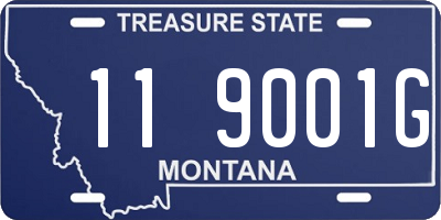 MT license plate 119001G