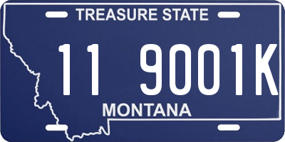 MT license plate 119001K