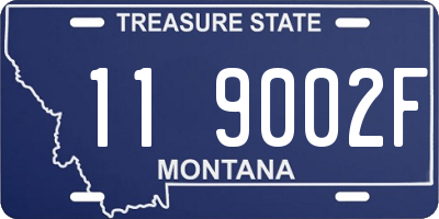 MT license plate 119002F