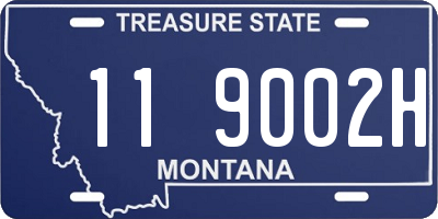 MT license plate 119002H