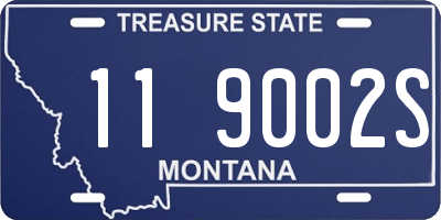 MT license plate 119002S