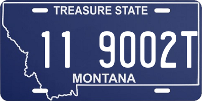 MT license plate 119002T