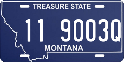 MT license plate 119003Q