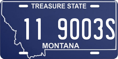 MT license plate 119003S