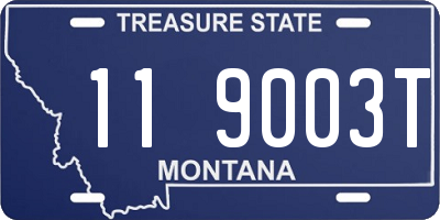 MT license plate 119003T