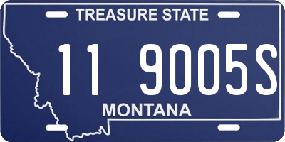 MT license plate 119005S