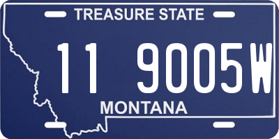 MT license plate 119005W