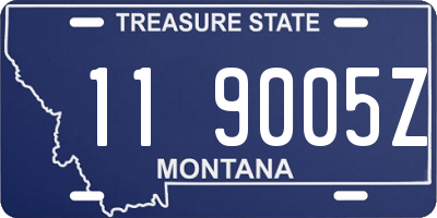 MT license plate 119005Z