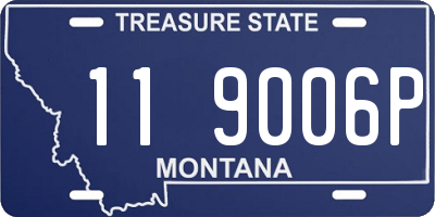 MT license plate 119006P