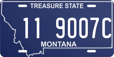 MT license plate 119007C