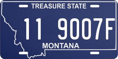 MT license plate 119007F