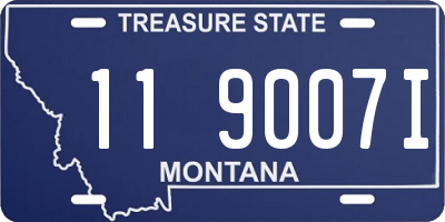 MT license plate 119007I