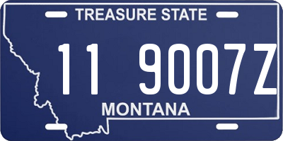 MT license plate 119007Z