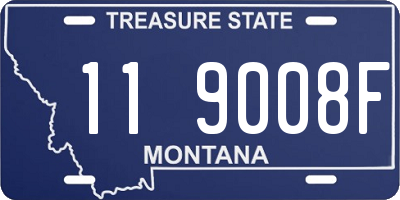 MT license plate 119008F