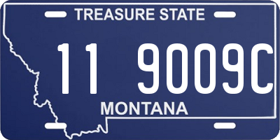MT license plate 119009C