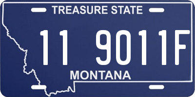 MT license plate 119011F