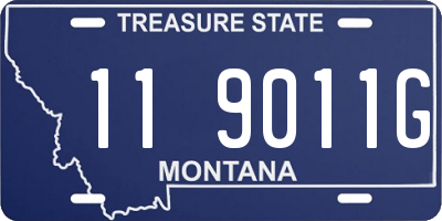 MT license plate 119011G
