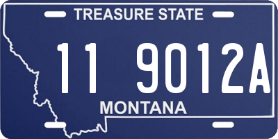 MT license plate 119012A