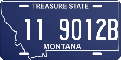 MT license plate 119012B