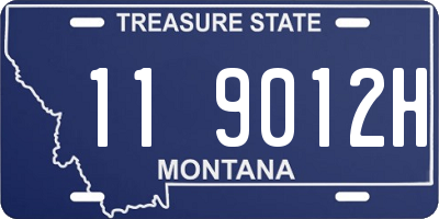 MT license plate 119012H