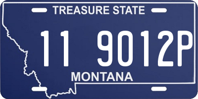MT license plate 119012P