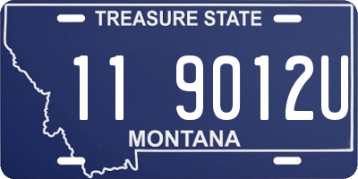 MT license plate 119012U