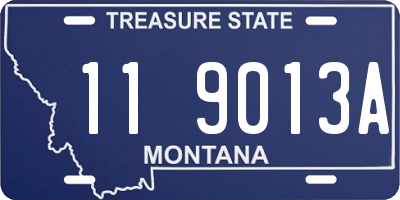 MT license plate 119013A