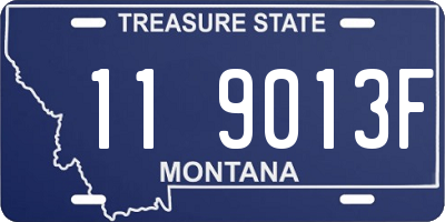 MT license plate 119013F