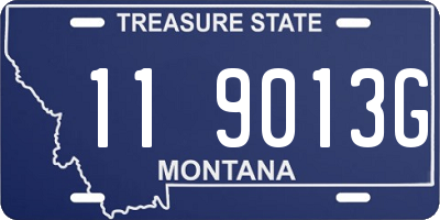 MT license plate 119013G