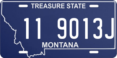 MT license plate 119013J