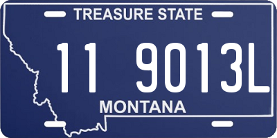 MT license plate 119013L